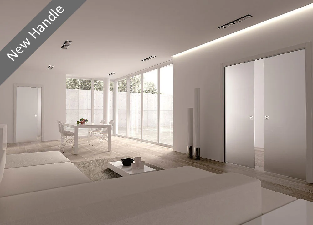 Classic DOUBLE Plain Satin 8mm Glass Pocket Door- Stainless Steel Round Handle